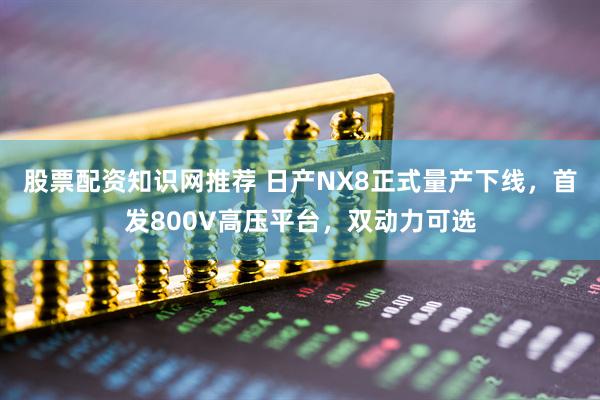 股票配资知识网推荐 日产NX8正式量产下线，首发800V高压平台，双动力可选