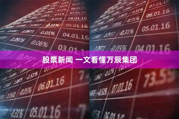 股票新闻 一文看懂万辰集团